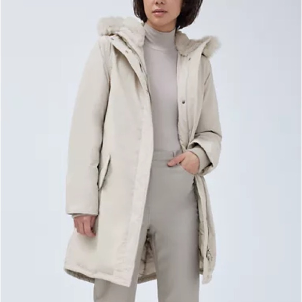 Aritzia Wilfred Mont Blanc Parka